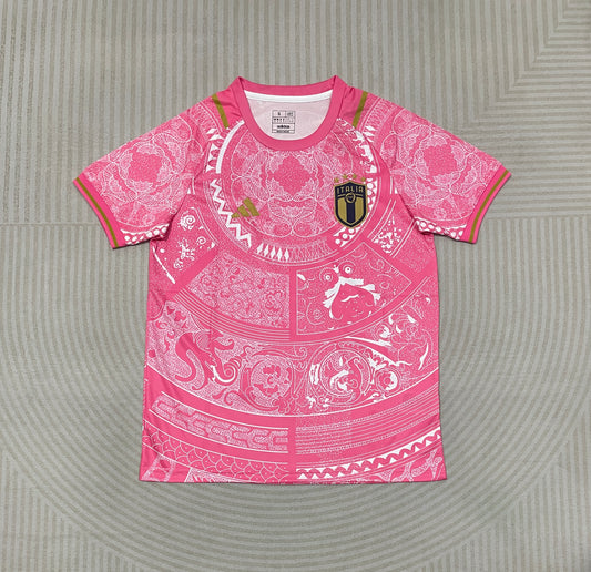 Italy Cocept Pink Football Shirt